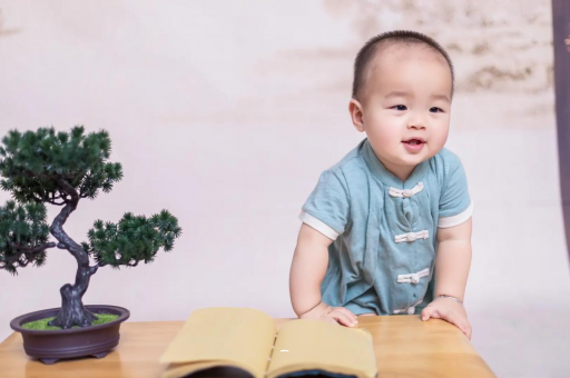龙海可爱的企鹅宝宝